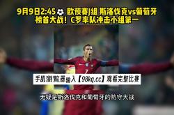 爱游戏体育网站-克罗地亚在欧预赛中战胜斯洛伐克取得胜利