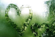 爱游戏体育官网-关于里尔保持不败，继续追赶领头羊的信息