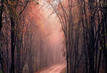 爱游戏登录入口-格雷泽主教练调整训练内容,着力提高球员技术水平,格雷泽尔