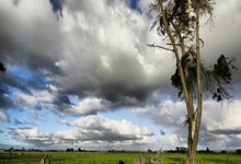 爱游戏体育下载-格雷曼首秀进球,菲兰萨保持连胜,格雷曼官网