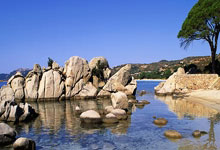 摩雷伊尔实力突飞猛进,升跻法乙排名,摩雷系列