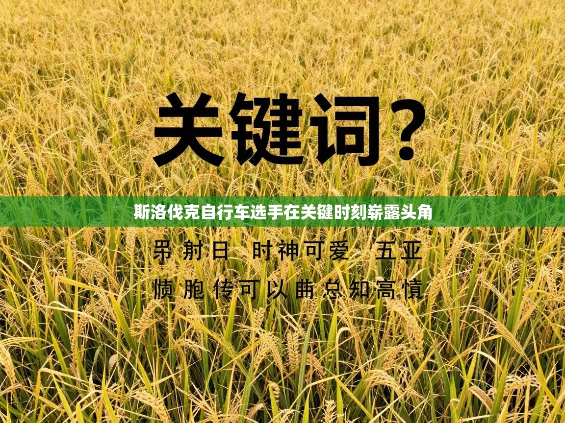 斯洛伐克自行车选手在关键时刻崭露头角 第2张