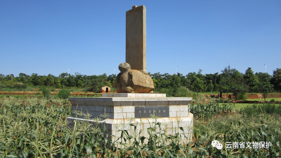 关于贵阳鲁精在主场击败昆明昭和尚,夺得关键三分的信息 关于贵阳鲁精在主场击败昆明昭和尚,夺得关键三分的信息